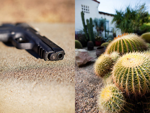 I kicked him where it hurt and the gun landed near the cactus. I ran to the car and spe