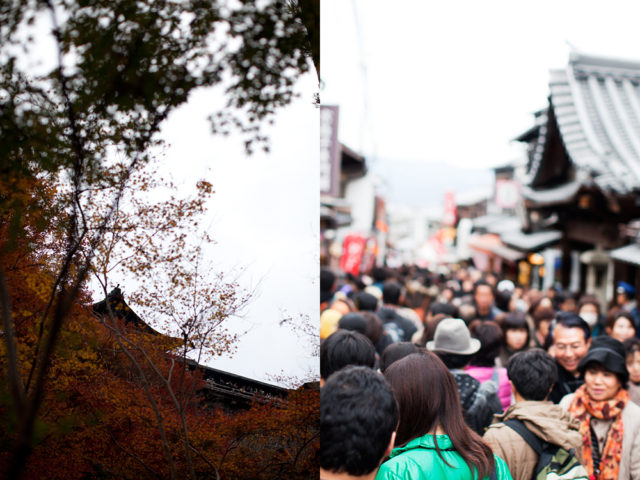 crowded Kyoto - last chance to see the autumn leaves :: 1