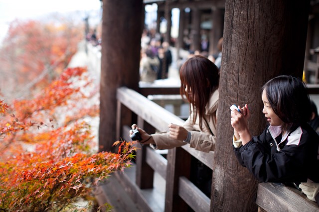 crowded Kyoto - last chance to see the autumn leaves :: 3