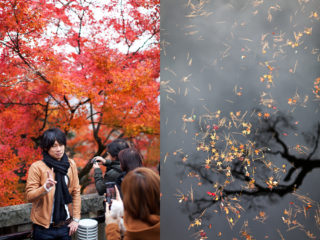 24. crowded Kyoto - last chance to see the autumn leaves