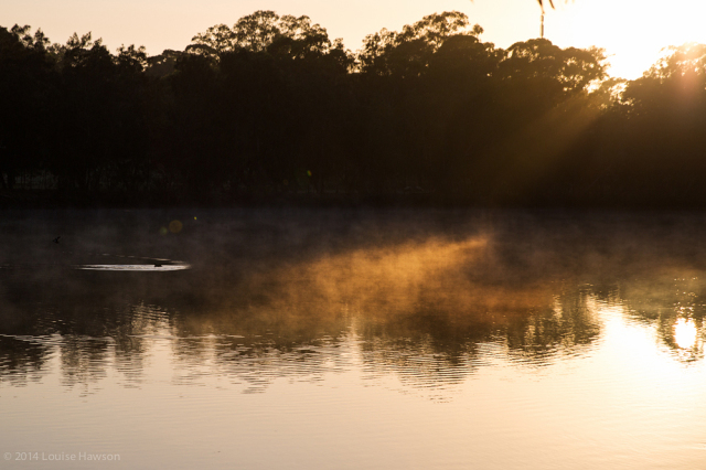 daybreak on the Georges River :: 1