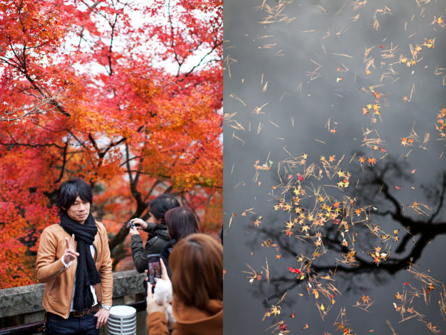 24. crowded Kyoto - last chance to see the autumn leaves 